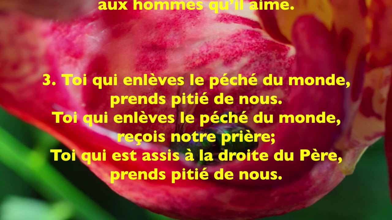Gloire a Dieu   messe de la réunion