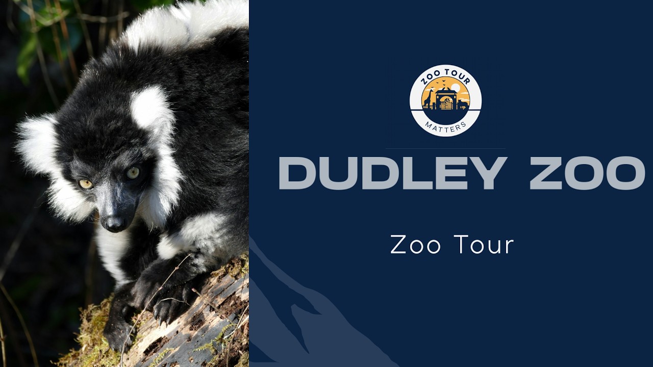 Dudley Zoo Zoo Tour - A zoo within a castle!