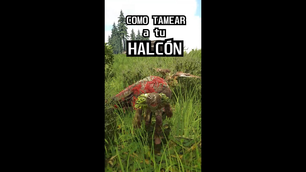 COMO TAMEAR a tu HALC&Oacute;N 🦅 FjordHawk Ark pronene4 #shorts