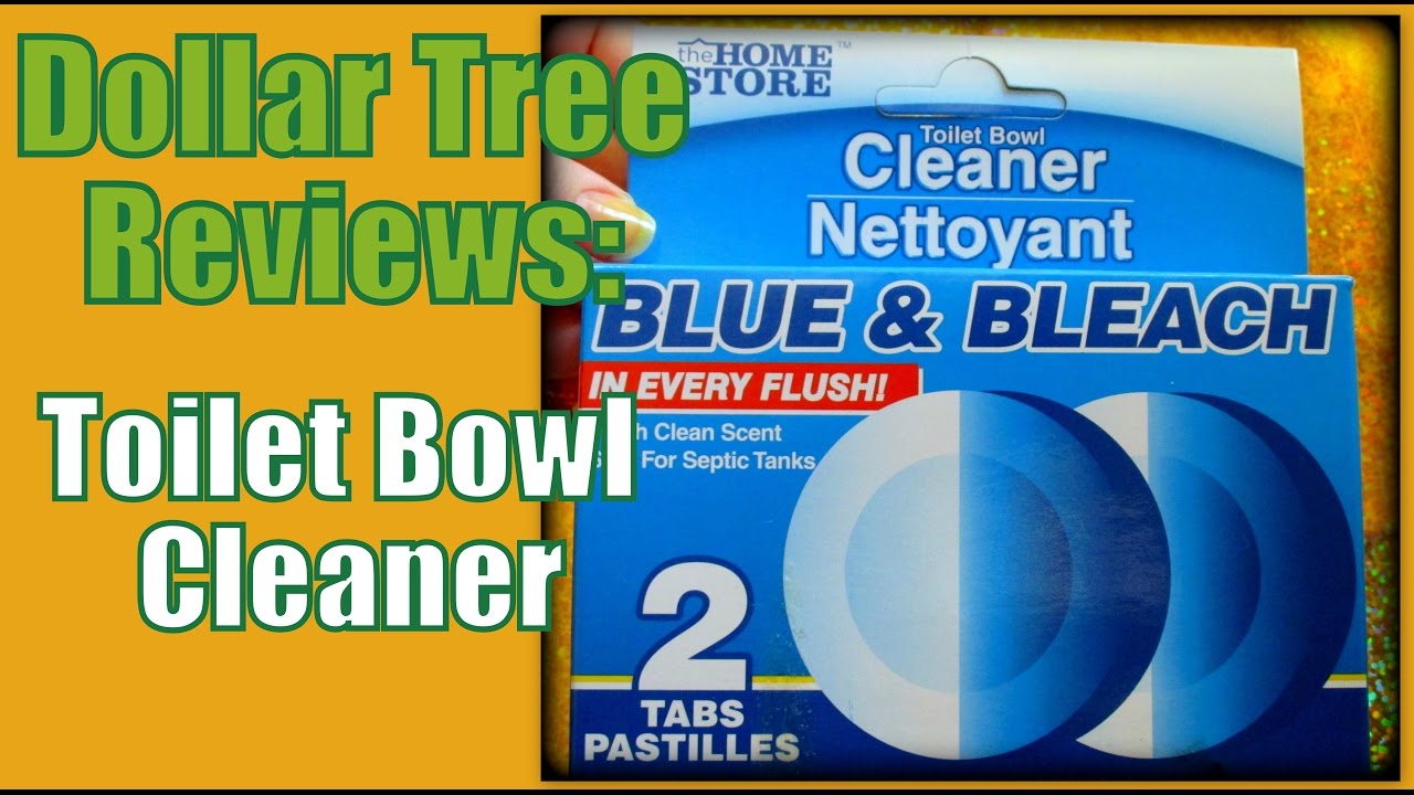 Dollar Tree Reviews: Toilet Bowl Cleaner