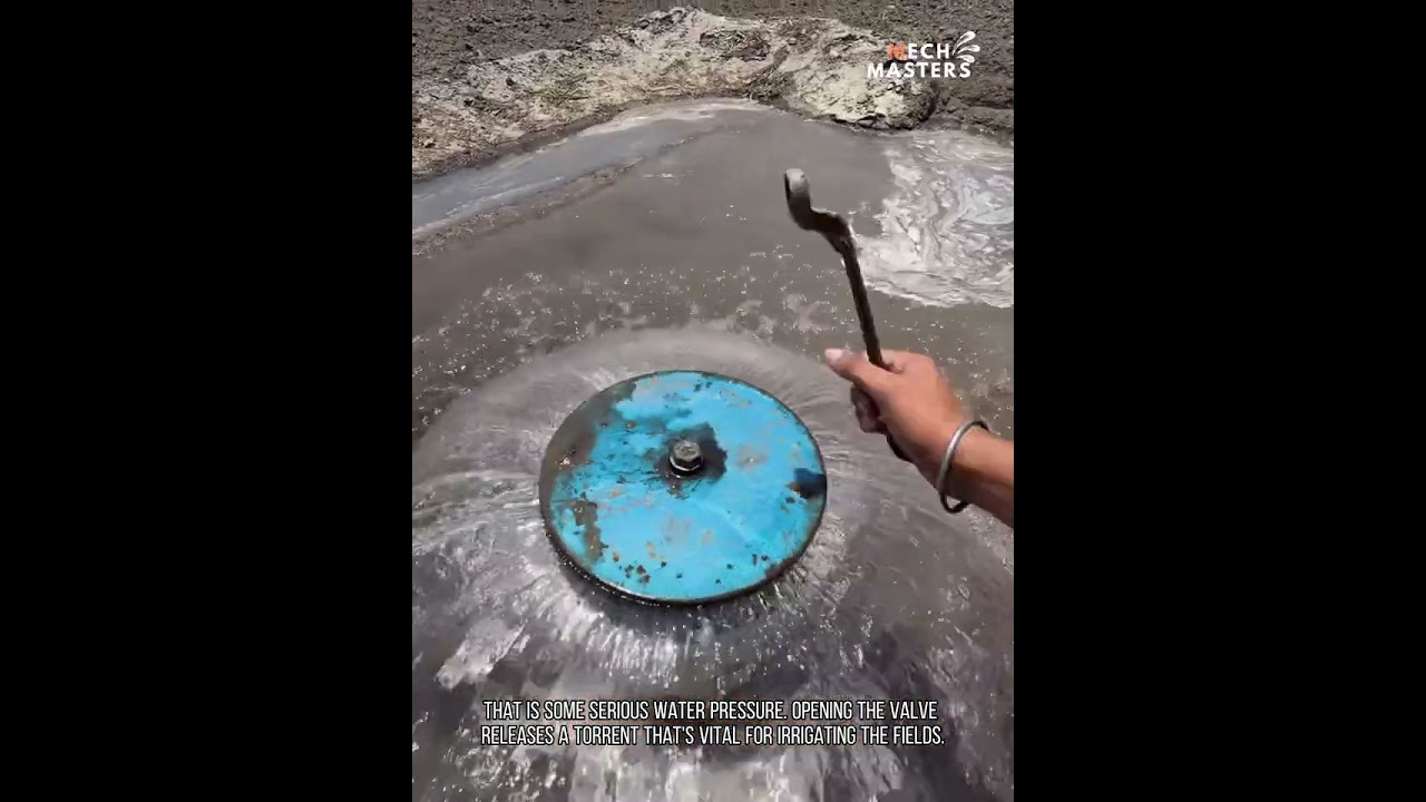 I love this video so much