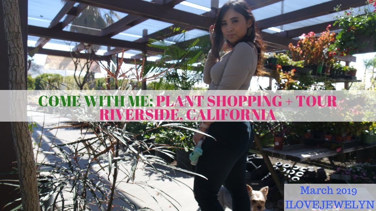 Come with me: Plant shopping + tour | Riverside, California  | March 2019 | ILOVEJEWELYN