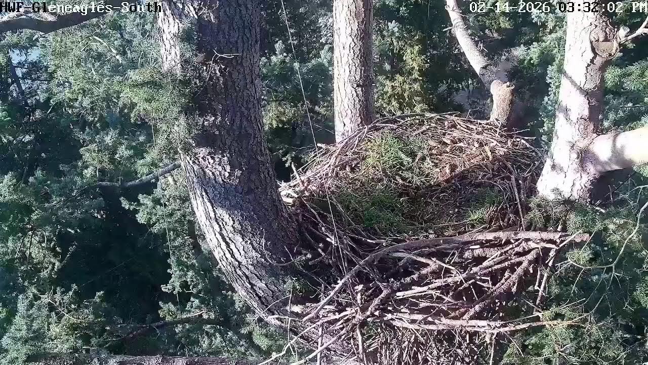 HWF-Gleneagle -S Live Stream