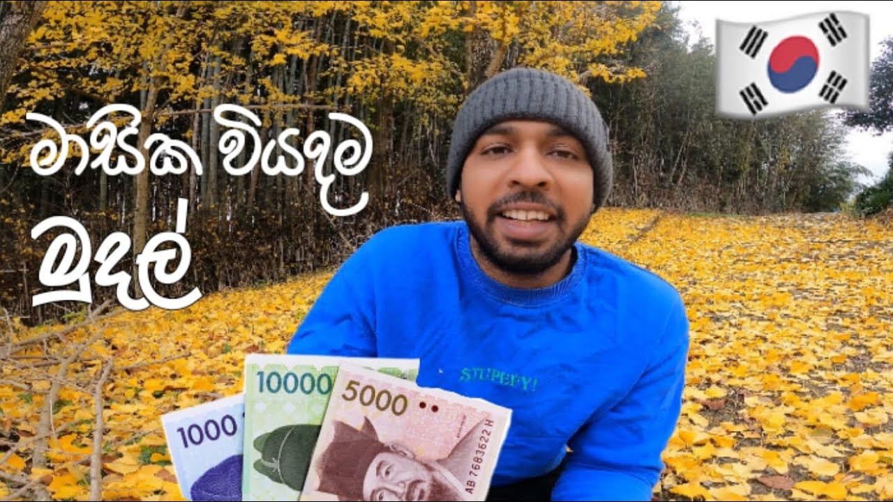 කොරියාවේ මුදල් සහ මාසික වියදම💶💰/ranga vlog