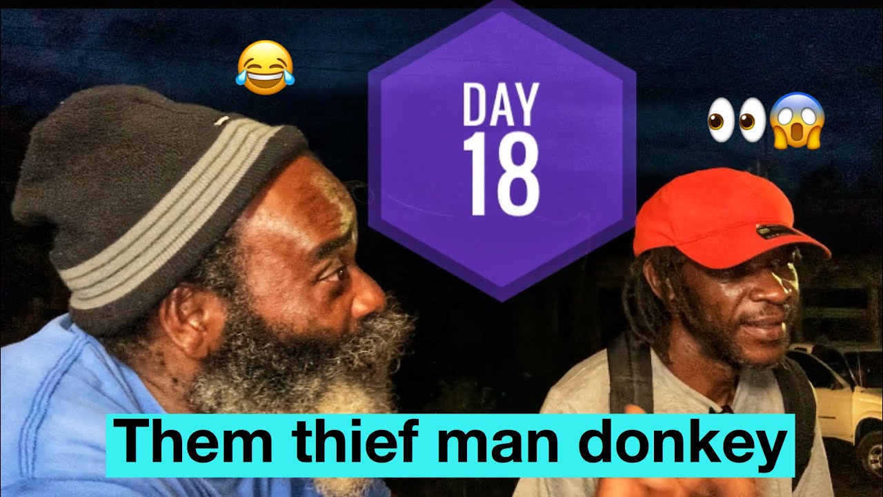 || Them thief man donkey and this what happen || X build a institution for the mad folks ||