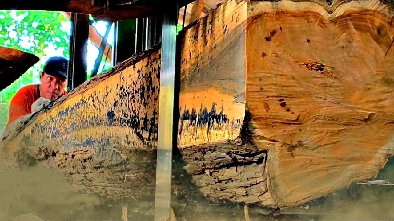 How US Sawmills Are Still Operating Against All Odds