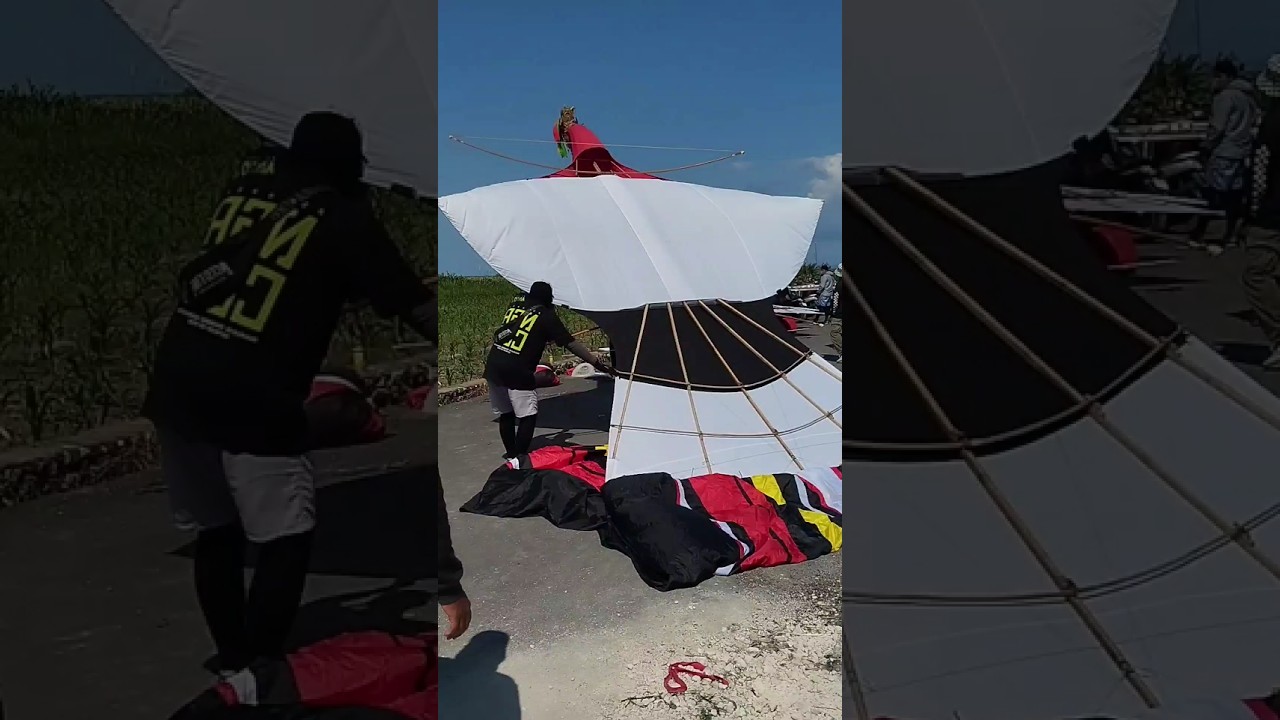 Keindahan Layangan Janggan Besar Di Bali Saat Terbang 