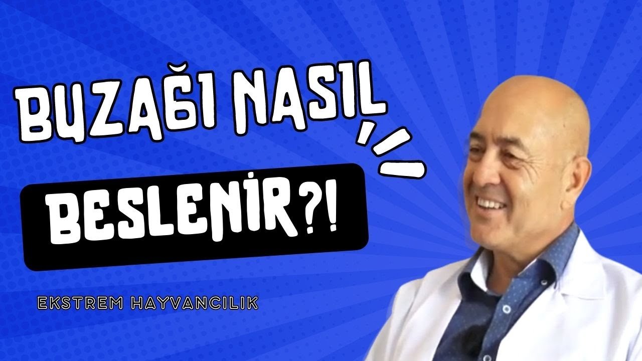 Ekstrem Hayvancılık I Buzağı besleme