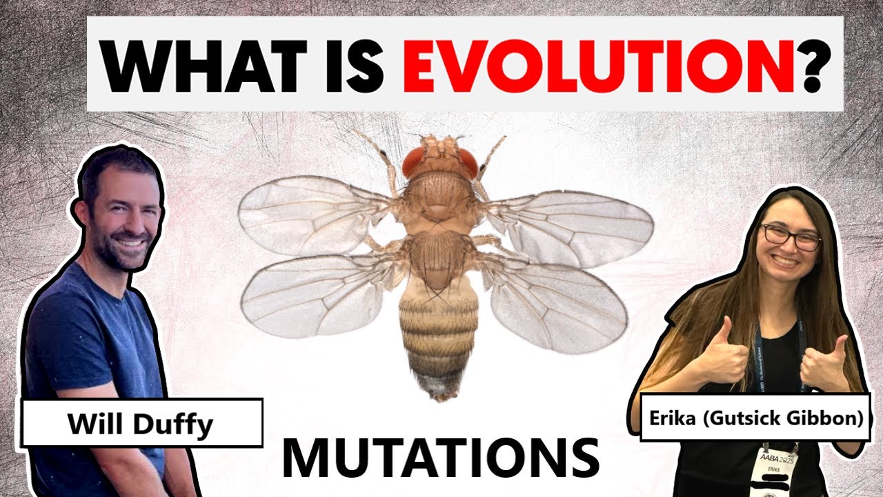 Teaching Famous Creationist Will Duffy Evolutionary Theory (LIVE) Mutations