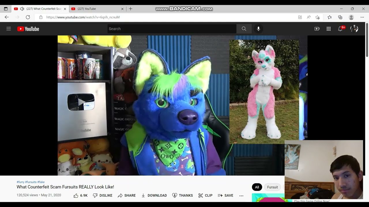 What happened to quarks husky?