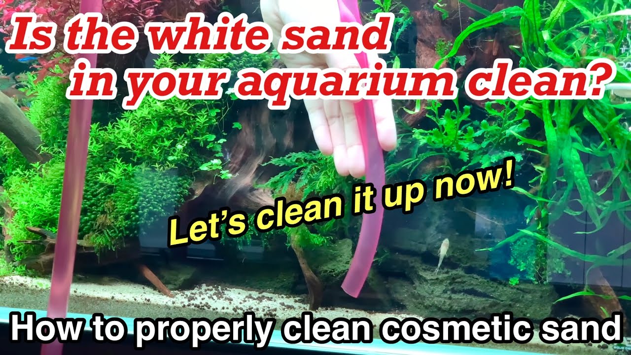 How to properly clean cosmetic sand in a planted aquarium～ADA nature aquarium,water change tutorial