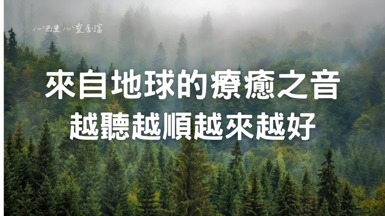 【能量音樂】💼壓力釋放 心靈療癒✨每天15分鐘，釋放工作壓力，恢復內心平靜💖重拾專注與力量🌟