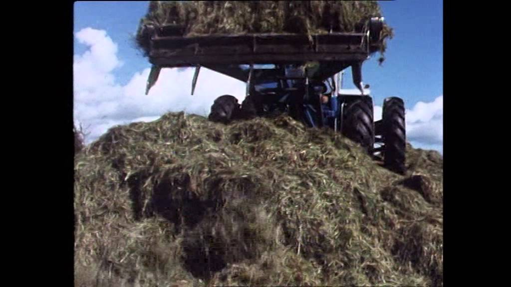 Old School Silage