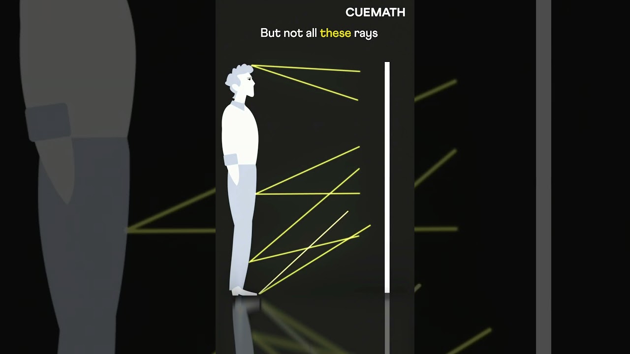 Do you really need a full length mirror? 🪞