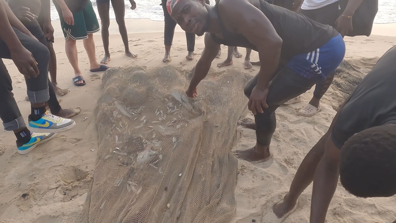 Beach Fishing with a Massive Net in West Africa (Freetown, Sierra Leone)