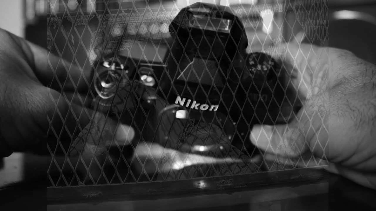 Nikon D 100 en  blanco y negro