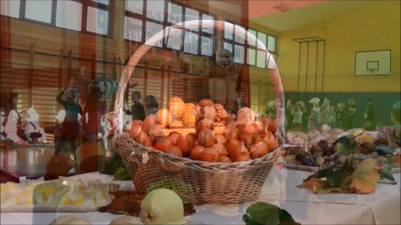 Osnovna šola Polzela   predstavitveni film