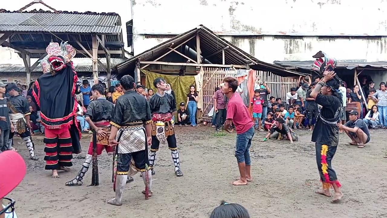 Kucingan kalijogo🔴LUKMAN mbarong