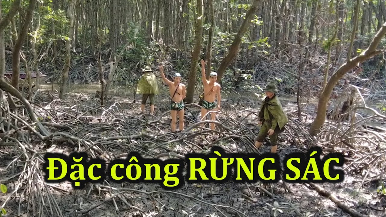 Thăm Chiến khu Rừng Sác và Đảo khỉ Cần Giờ.