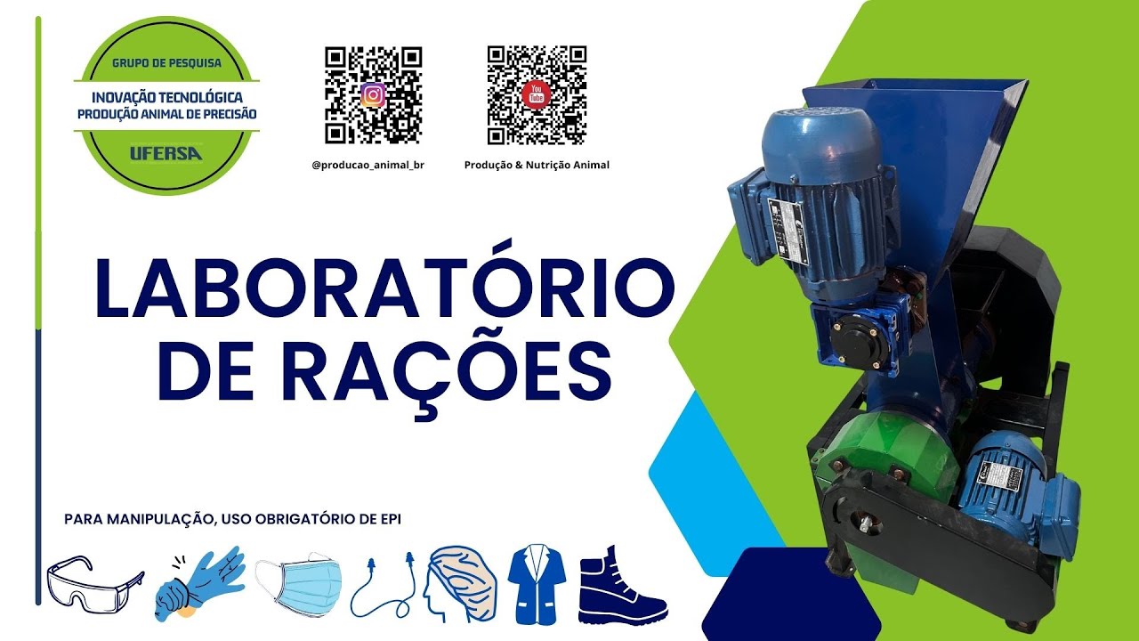 Extrusora de Rações | Cães e Gatos | Peixes e Camarões | Subimos os 800KG até o 1° Andar! 💪