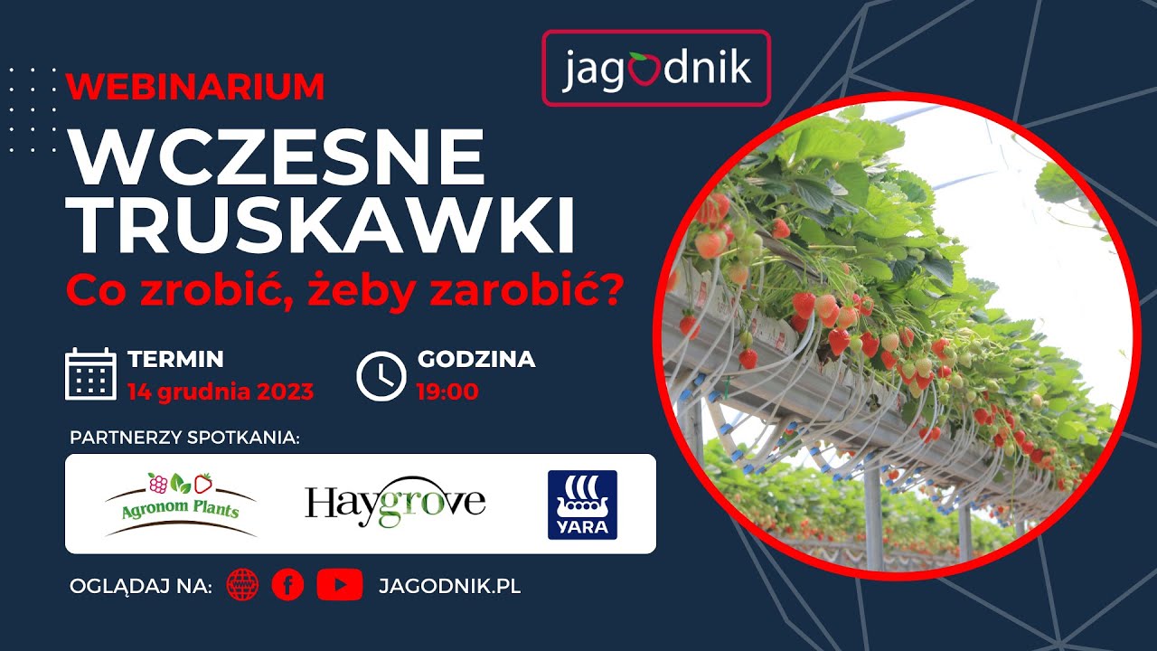Wczesne truskawki - co zrobić, żeby zarobić? - webinarium