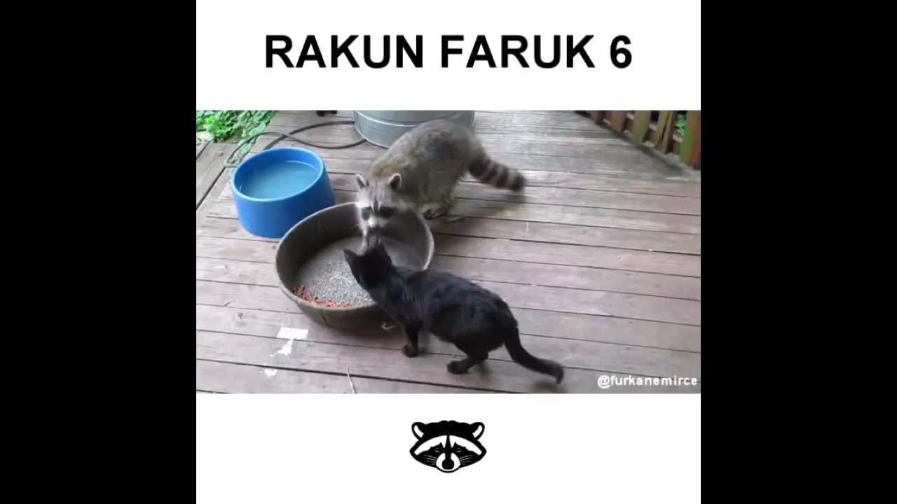 Komedi bombası Furkan Emirce