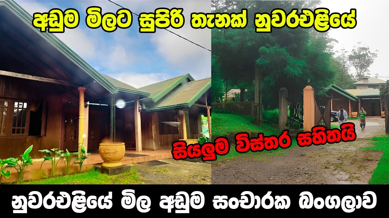 දැව සංස්ථාවේ නුවරඑළිය සංචාරක බංගලාව | State Timber Corporation Circuit Bungalow Nuwaraeliya