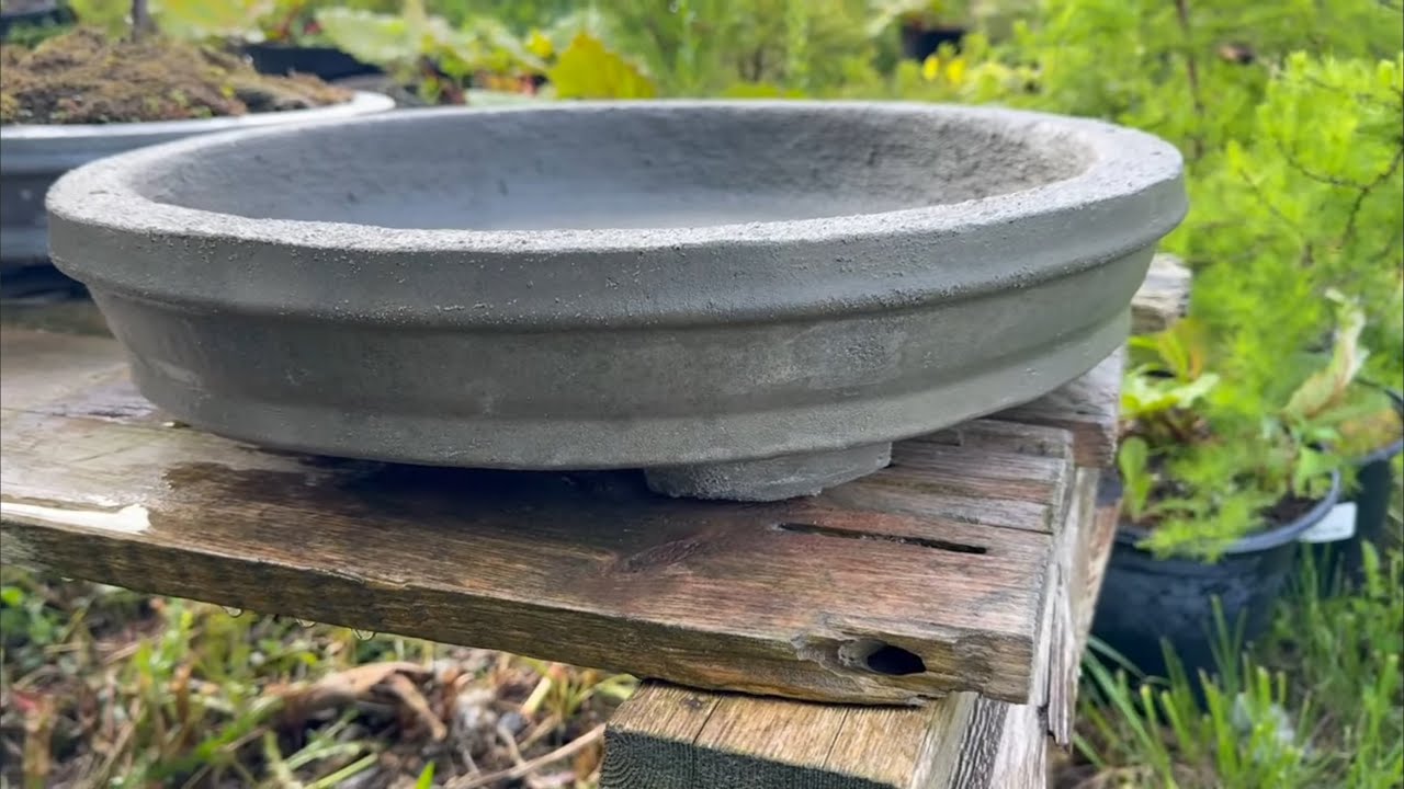 How to Make a 20 Inch Concrete Bonsai Pot