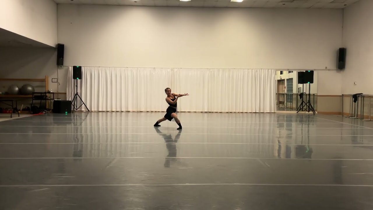 NDT Summer Intensive Audition