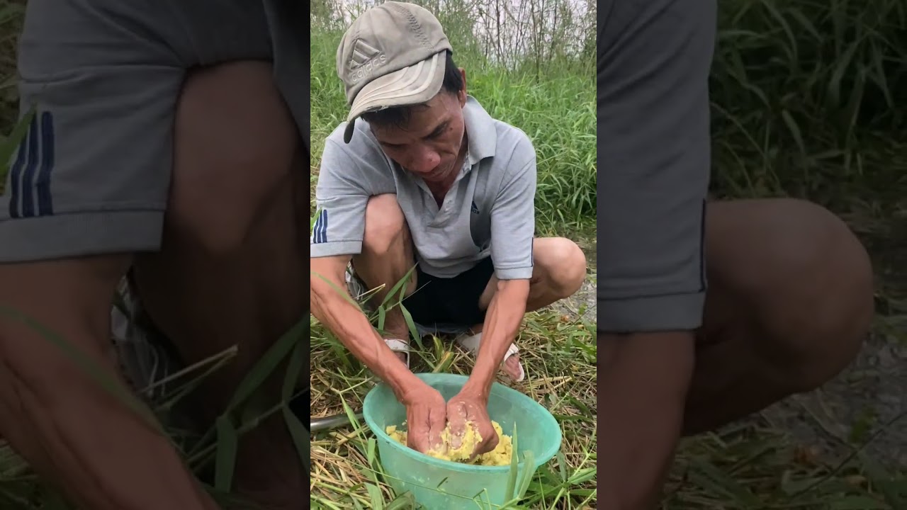Thầy lỏ b&aacute;o c&aacute; nha ae#hanhtrinhtheochanthaylo#fishing #cauca #tranhoi #vlog 