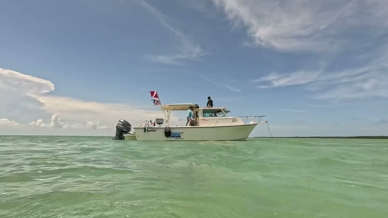 Parker 2820  ​⁠out on the water see what&rsquo;s out there. @docktailbar @parkerboats