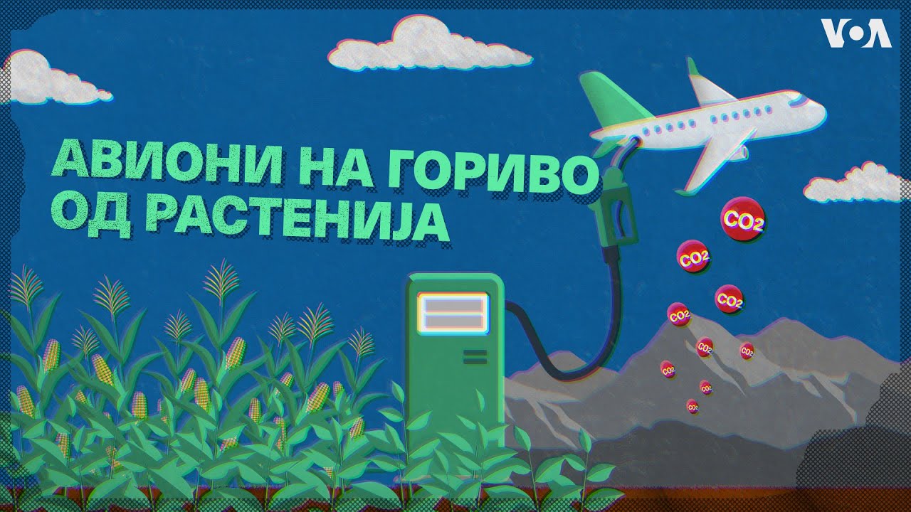 Визуелно објаснување: Авиони на гориво од растенија