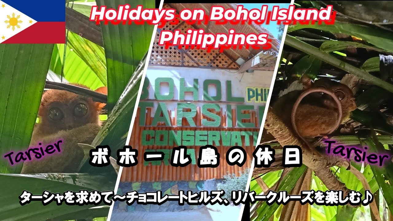 【フィリピン ボホール島の休日】Bohol Island, Philippines