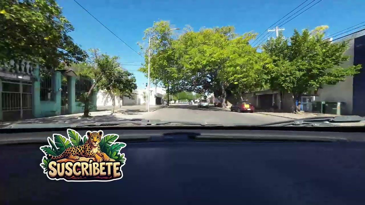 POV MANEJANDO EN MERIDA AV CUPULES