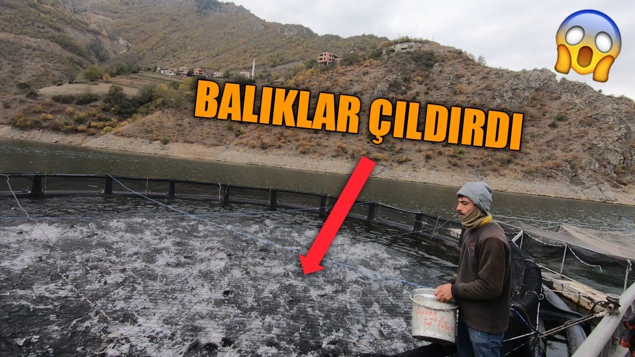 Doğa Bungalov Tatil K&ouml;y&uuml;nde Muhteşem Bir G&uuml;n Ge&ccedil;irdik | VLOG