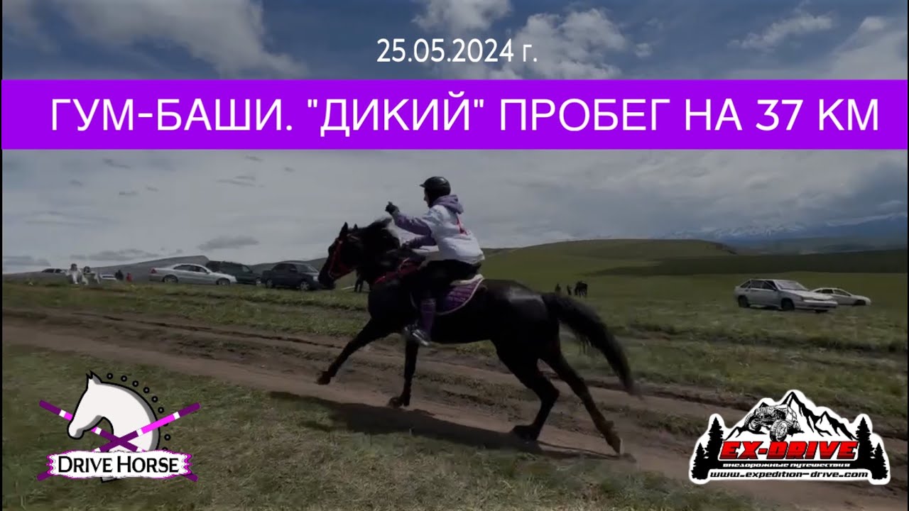 Конный пробег на перевале Гум-Баши, КЧР. Дистанция 37 км и почти 70 участников.