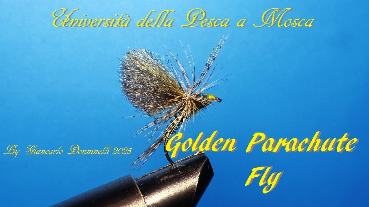 GOLDEN PARACHUTE  FLY By Giancarlo Donninelli