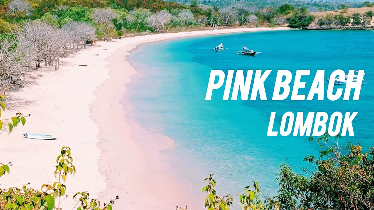 【Lombok散歩🇮🇩】ピンクビーチ🏝世界的にも珍しいピンクの砂浜！果たしてビーチはピンクに見えるのかな。格段に美しい東ロンボクの海