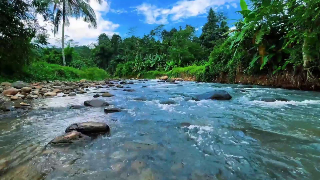 Healing River Flow Under Blue Sky – Calming Water ASMR for Sleep & Focus