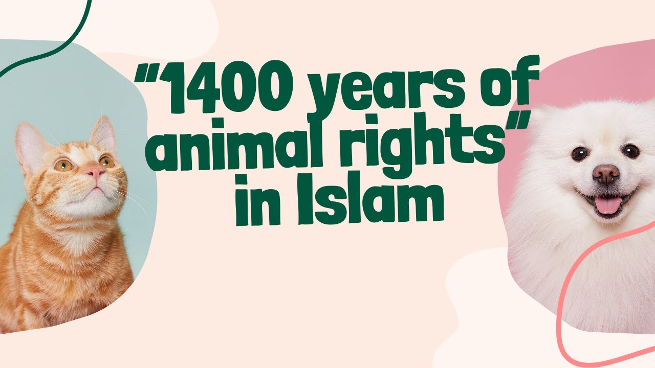 &ldquo;How Islam Protected Animal Rights 1400 Years Ago&rdquo;