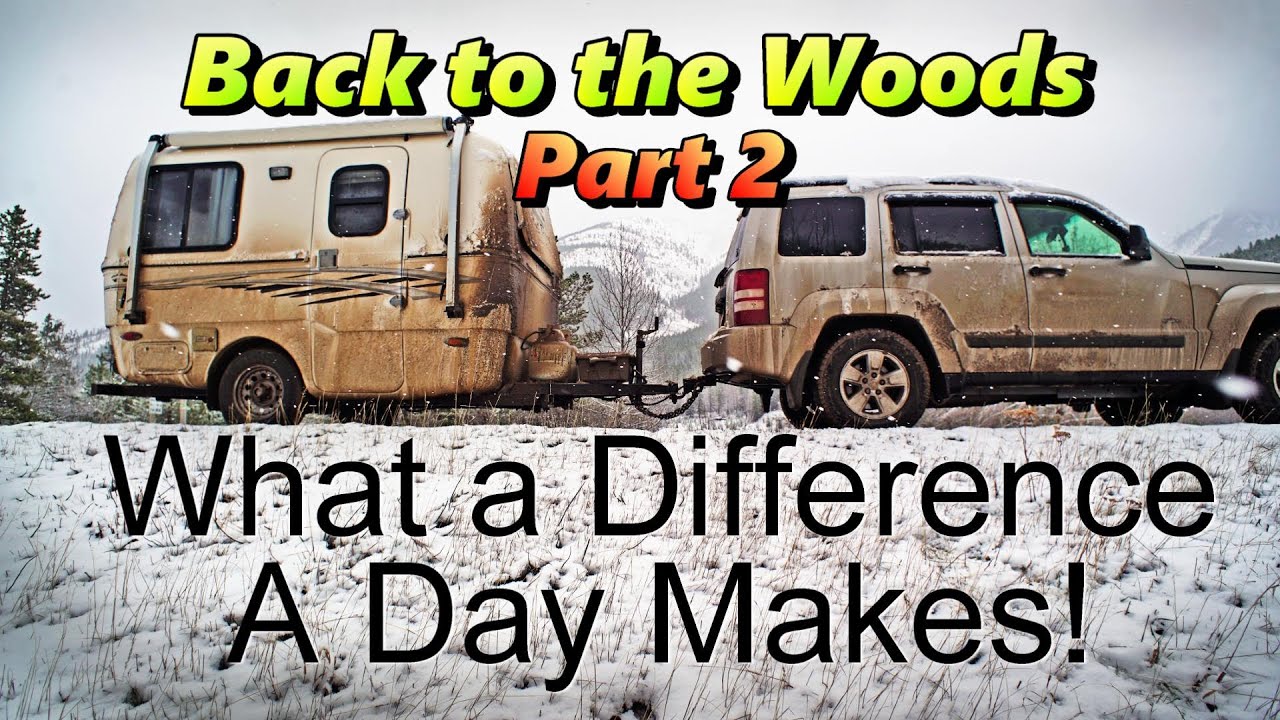 Back in the Woods Part 2: What A Difference a Day Makes