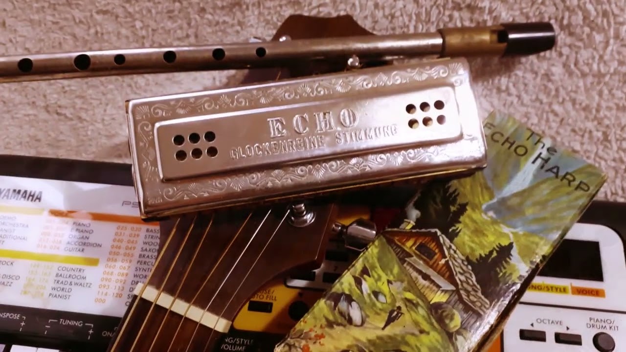The Leaving of Liverpool ( Hohner Echo Harp)