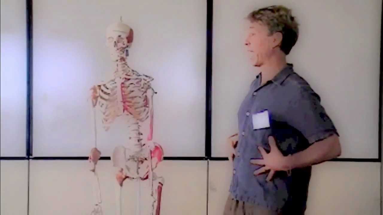 Stephen West ~ The Psoas muscle and TRE