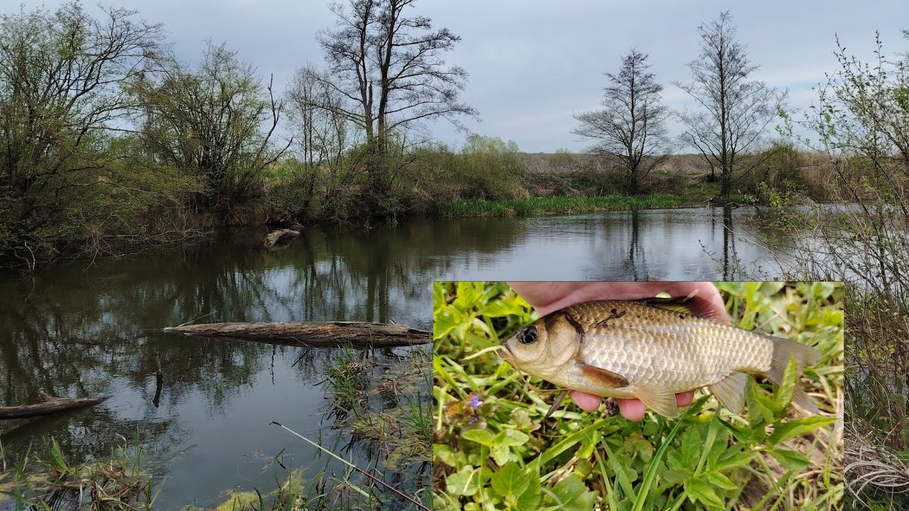 Pecanje BABUŠKE na BARI početkom PROLJEĆA. Uživanje u prirodi i puno akcije