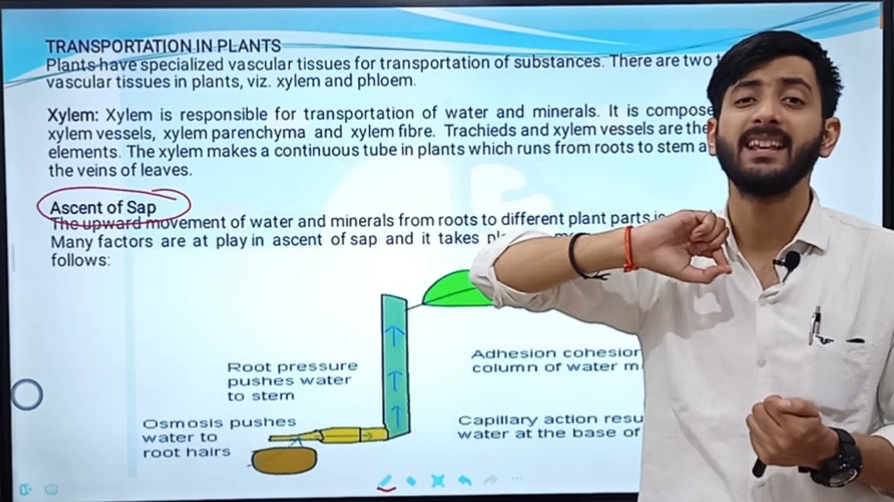 LEC-12 || TRANSPORTATION IN PLANTS  || STOMATA (BIOLOGY)|| JKSSB FAA |JKSSB SI | BY ANKIT SIR