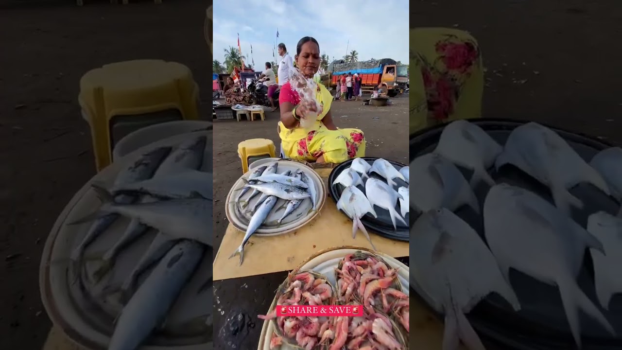 Harnai Fish Market @HarnaiBeach #shorts #kokan #harnaifishauction #dapoli #beach #fish #ytshorts