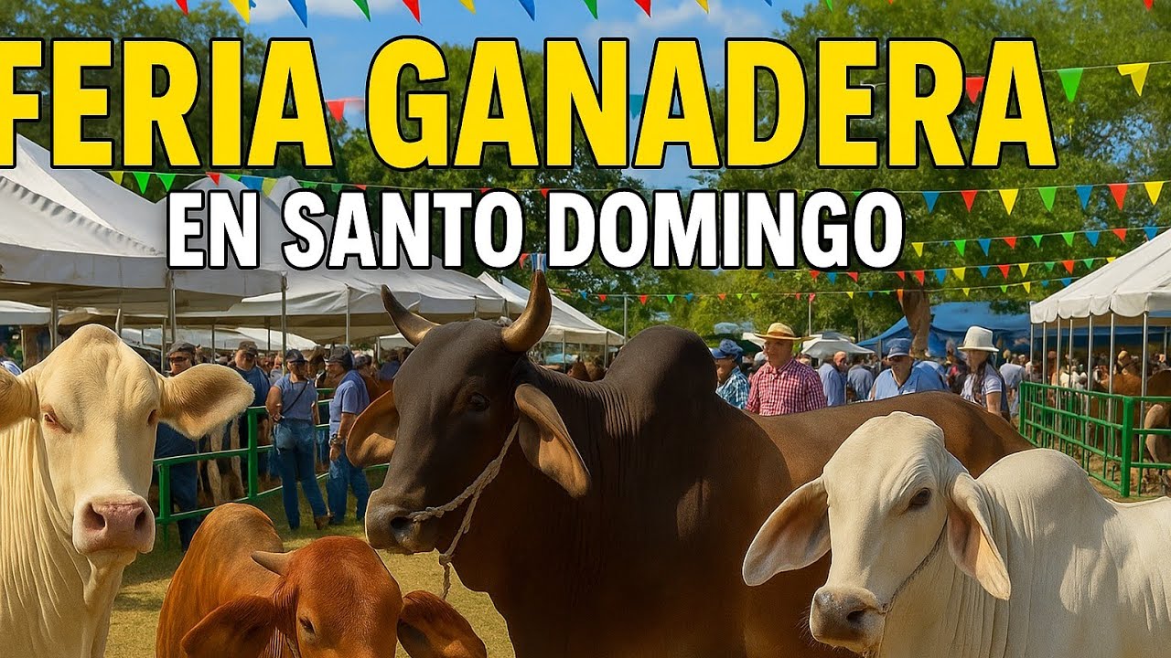 😳 MILES DE GANADEROS EN UN SOLO LUGAR ‼️ LA FERIA QUE MUEVE EL ECUADOR 🐮🔥