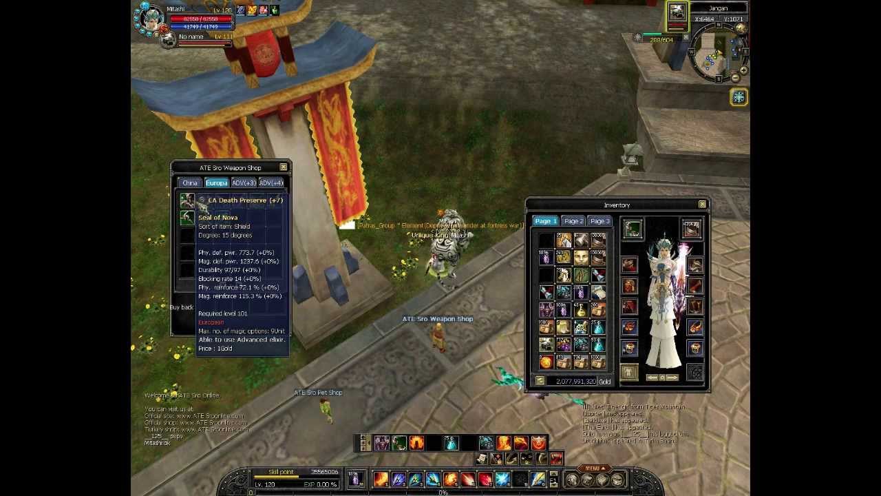 Silkroad Private Server - ATE Sro 14-15DG [unlimited silk]