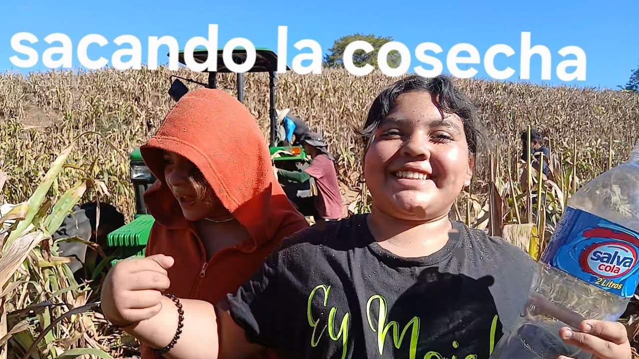 Ayudando al tio adesgranar maicillo  vean como quedamos de enjuatadas..
