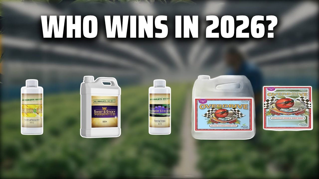 The Top 5 Best Advanced Nutrients Overdrive in 2026 - Must Watch Before Buying!